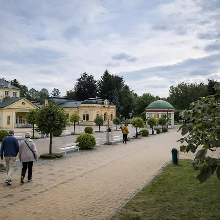Apartment Viridis Frantiskovy Lazne